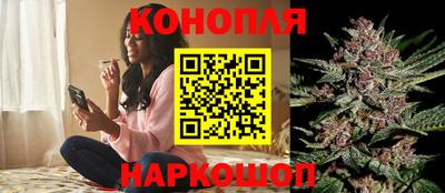 прущие крисы Кунгур