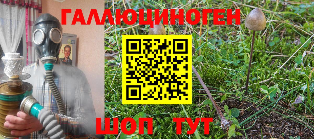 Галлюциногенные грибы Psilocybe  Вход с VPN  Псилоцибиновые грибы MAGIC MUSHROOMS  Дивногорск 