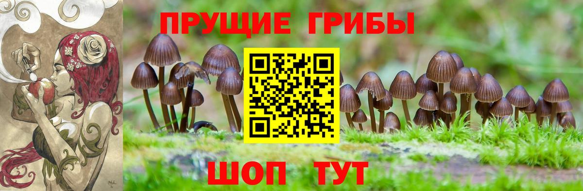 Псилоцибиновые грибы мухоморы Дивногорск
